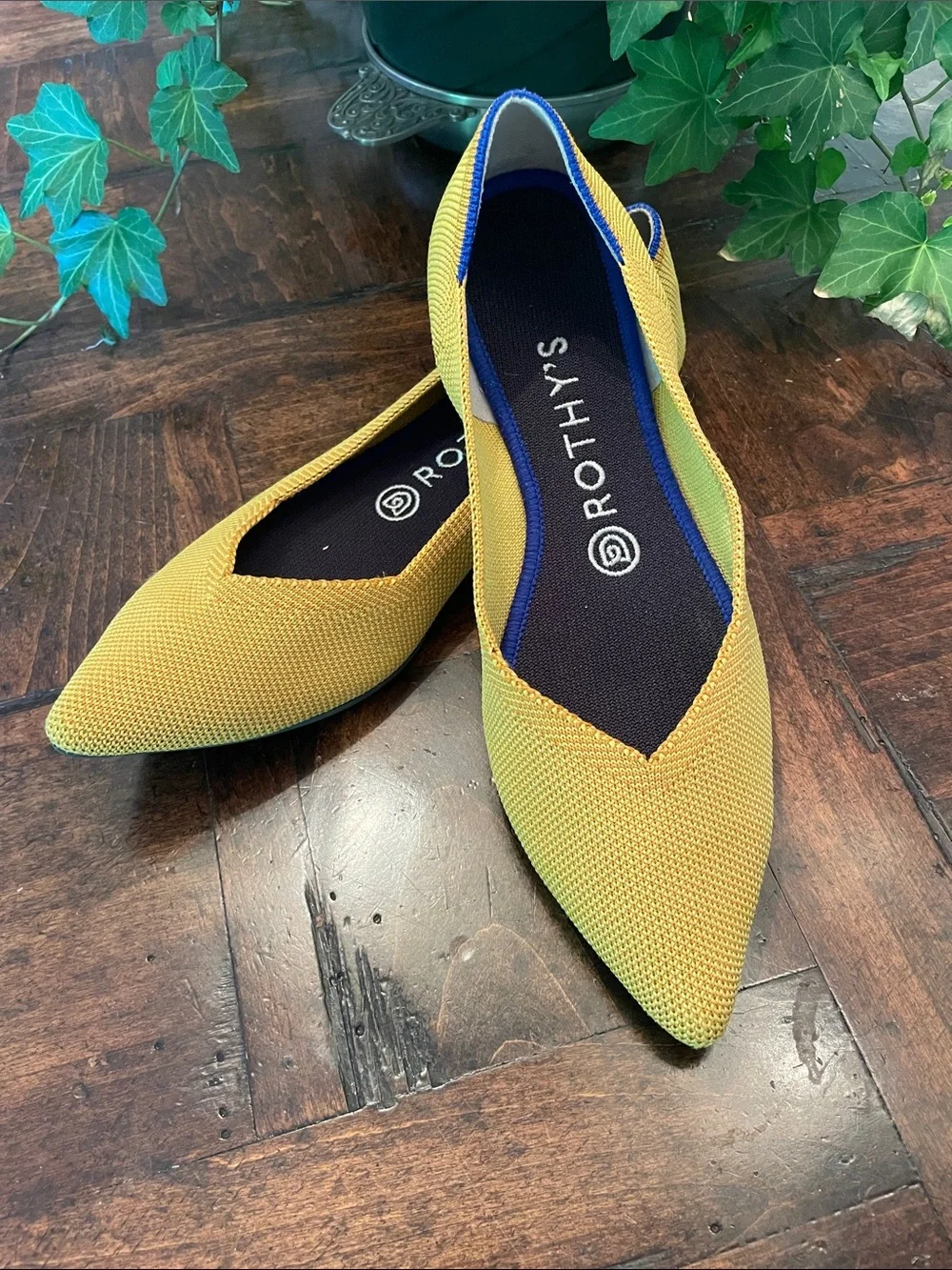 Rothy's Pointed Knit Flats in Mustard Yellow with Blue Trim